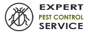 Emergency Exterminator Company Hollywood FL